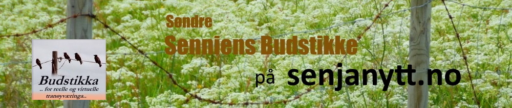 Søndre Senniens Budstikke